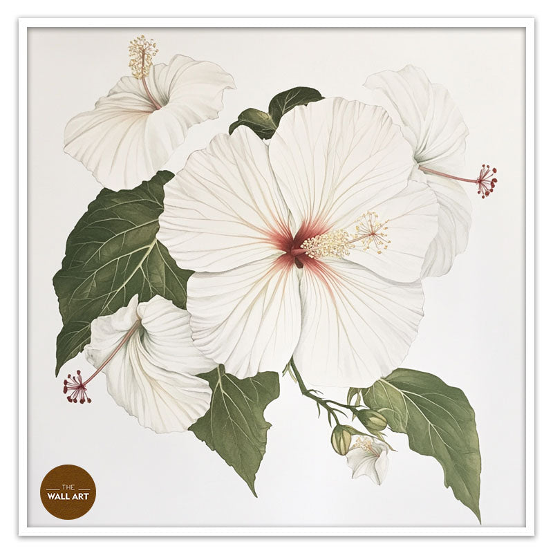 WHITE HIBISCUS
