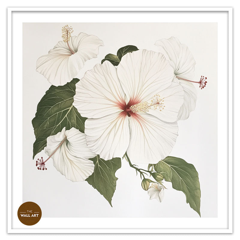 WHITE HIBISCUS