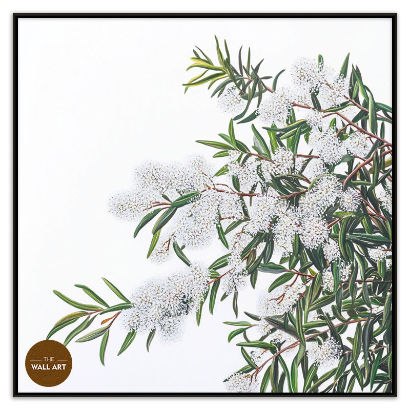 WHITE MELALEU FLOWERS
