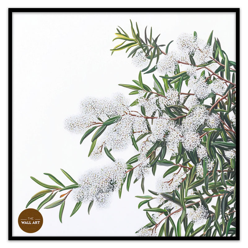 WHITE MELALEU FLOWERS