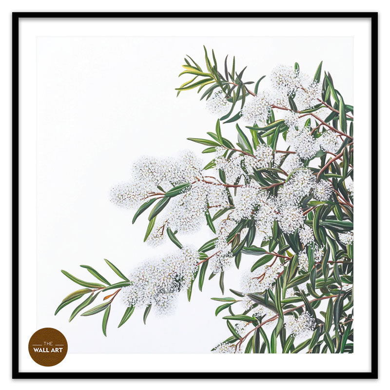 WHITE MELALEU FLOWERS