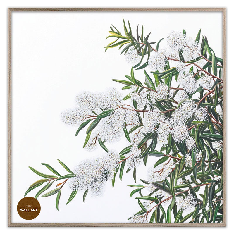 WHITE MELALEU FLOWERS