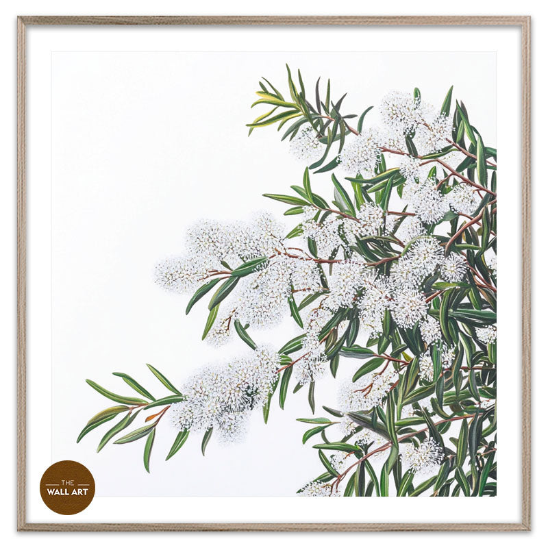 WHITE MELALEU FLOWERS