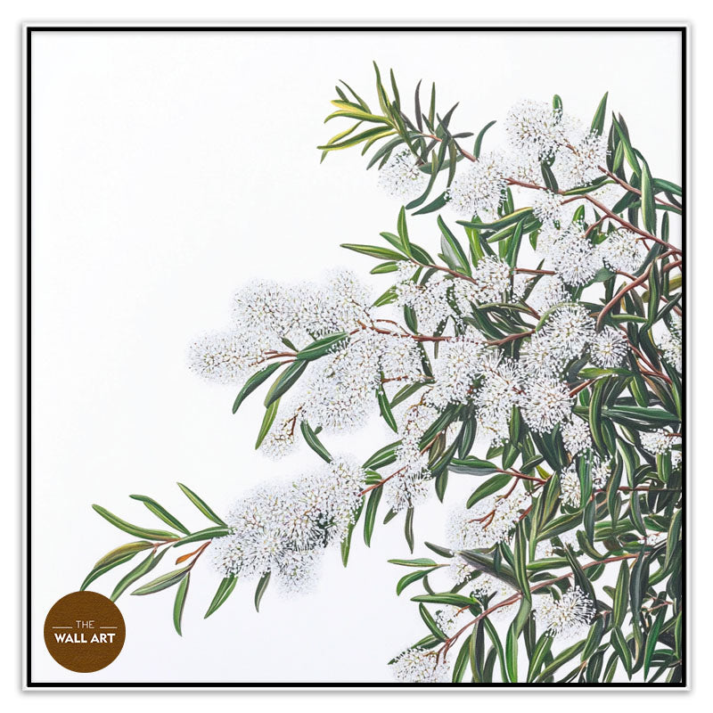 WHITE MELALEU FLOWERS