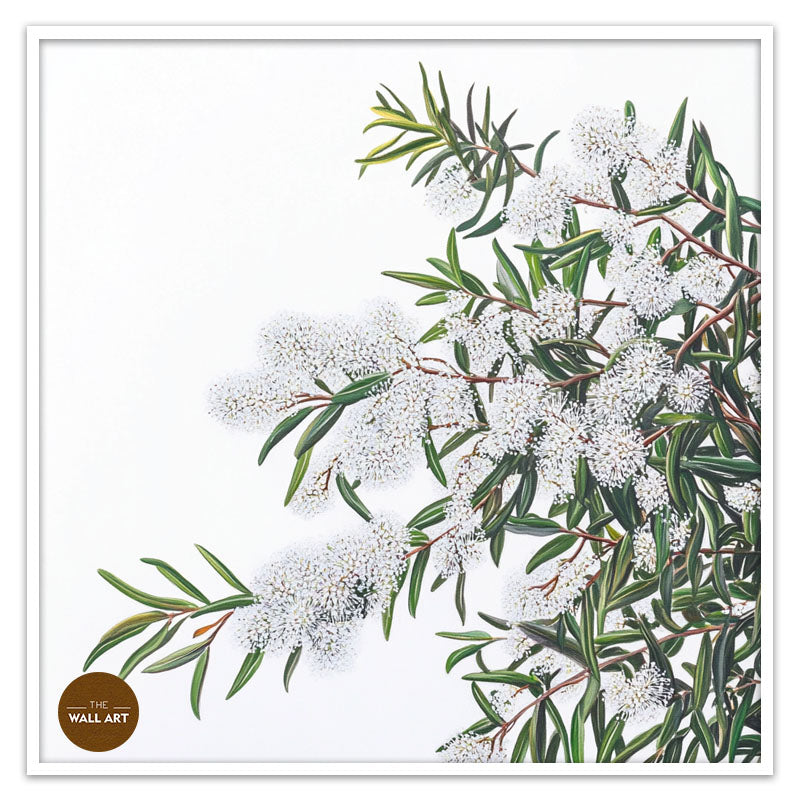 WHITE MELALEU FLOWERS
