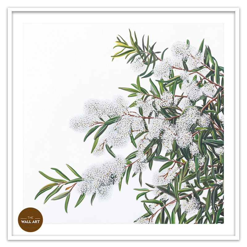 WHITE MELALEU FLOWERS