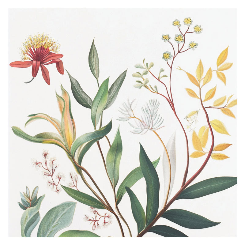 WILD FLOWERS