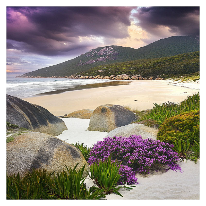 WILSONS_PROMONTORY VIC