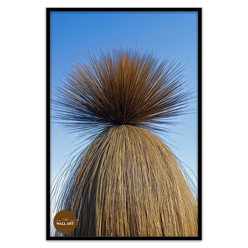 XANTHORRHOEA