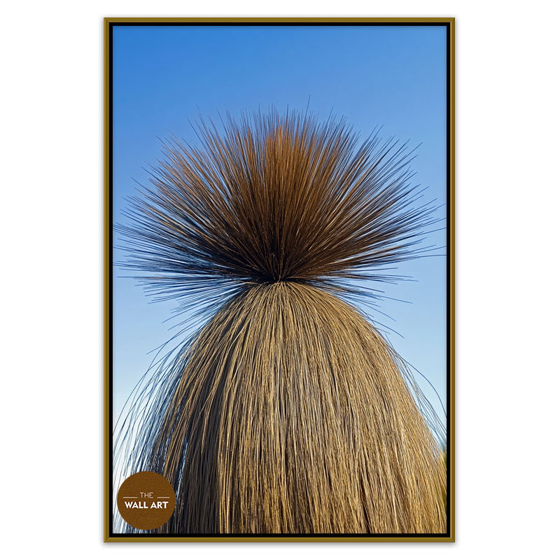 XANTHORRHOEA