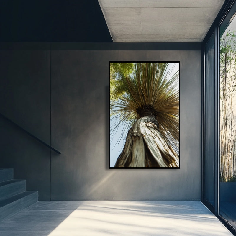 XANTHORRHOEA LOW VIEW