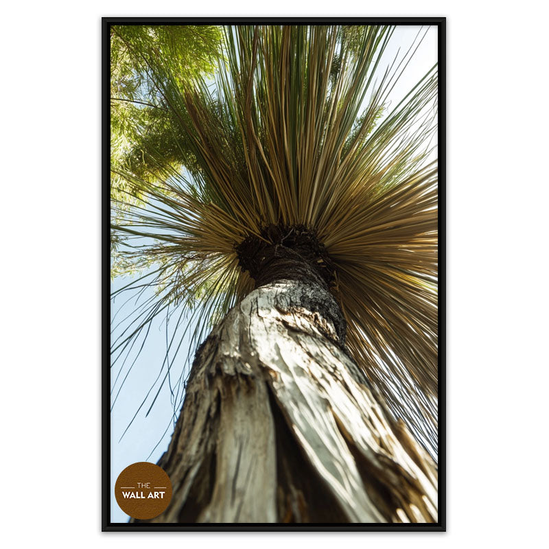 XANTHORRHOEA LOW VIEW