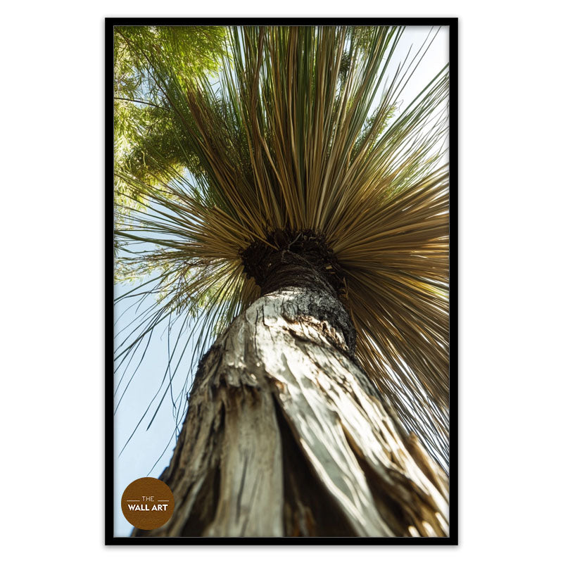 XANTHORRHOEA LOW VIEW