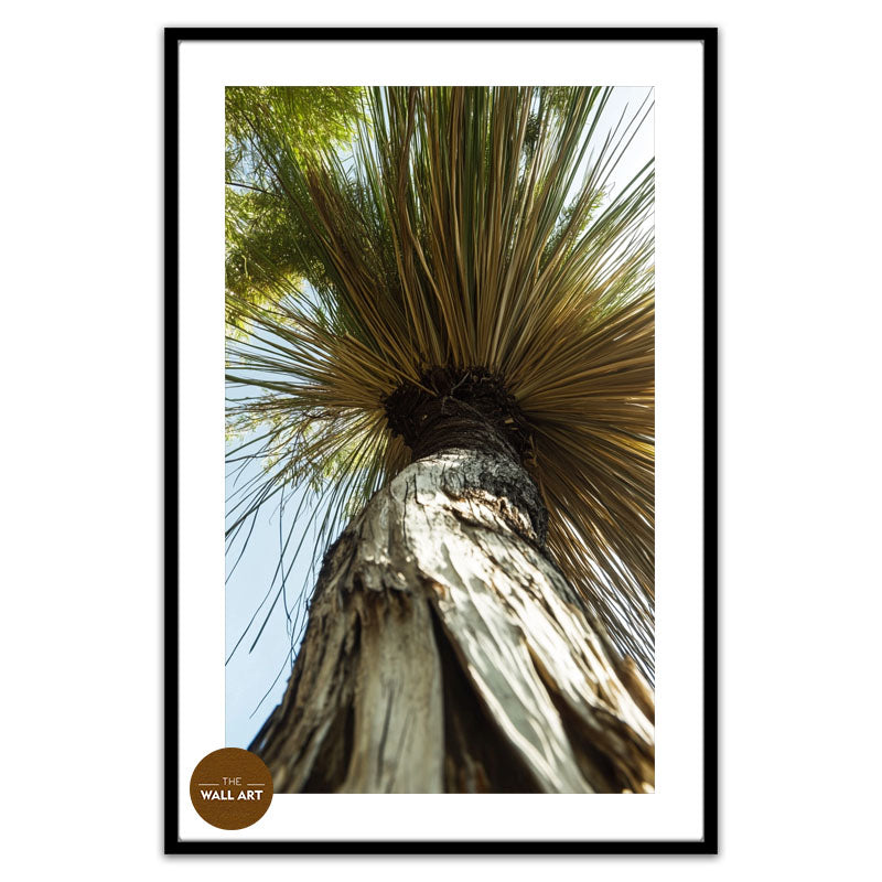 XANTHORRHOEA LOW VIEW