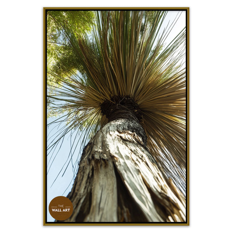 XANTHORRHOEA LOW VIEW