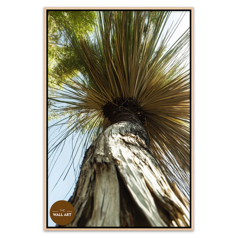 XANTHORRHOEA LOW VIEW