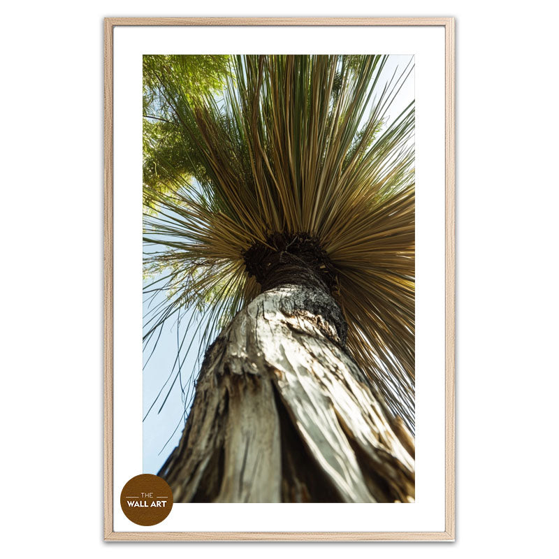 XANTHORRHOEA LOW VIEW