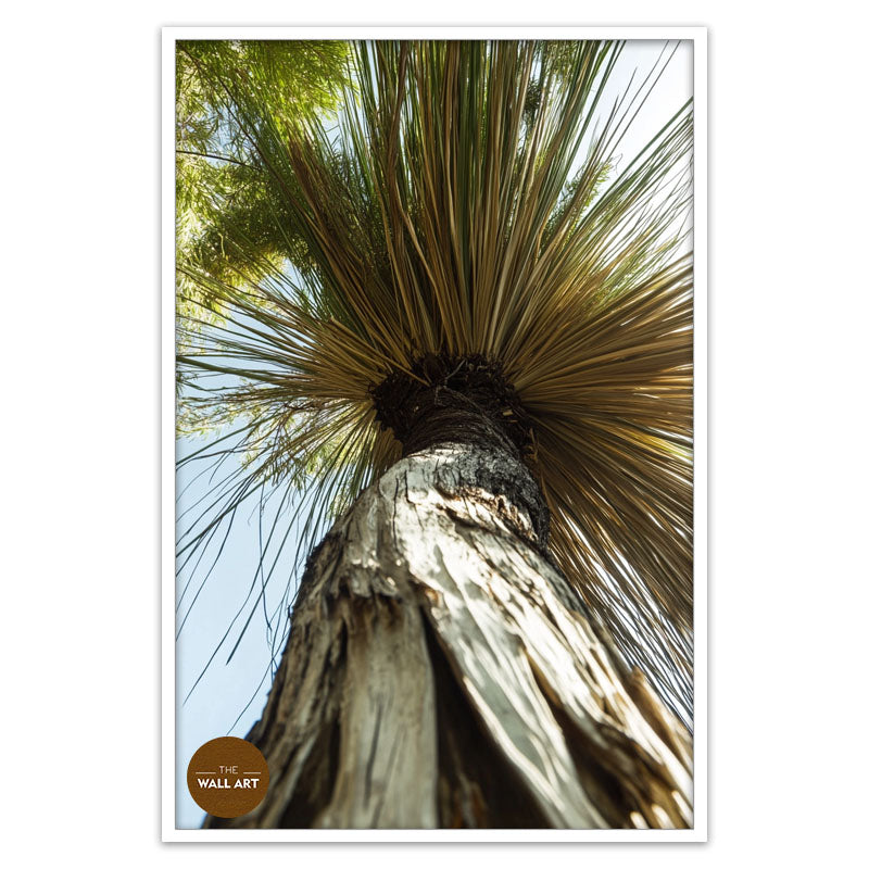 XANTHORRHOEA LOW VIEW