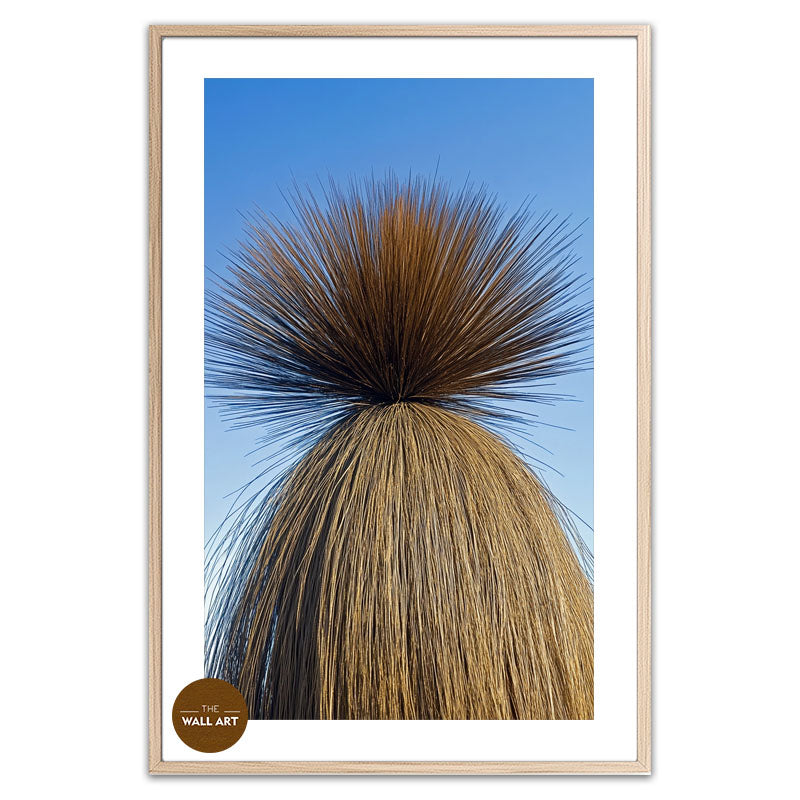 XANTHORRHOEA