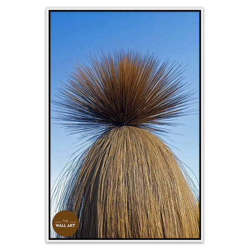 XANTHORRHOEA