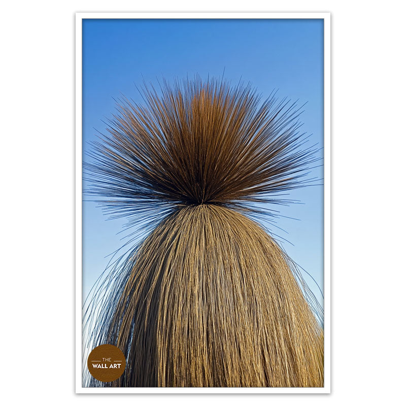 XANTHORRHOEA