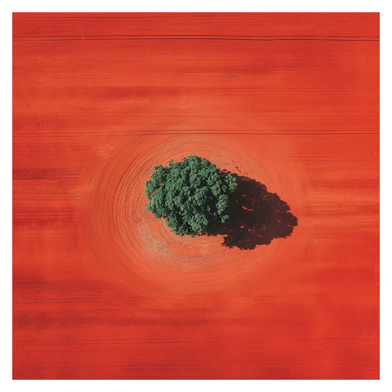 ALONE TREE ON RED FIELD II