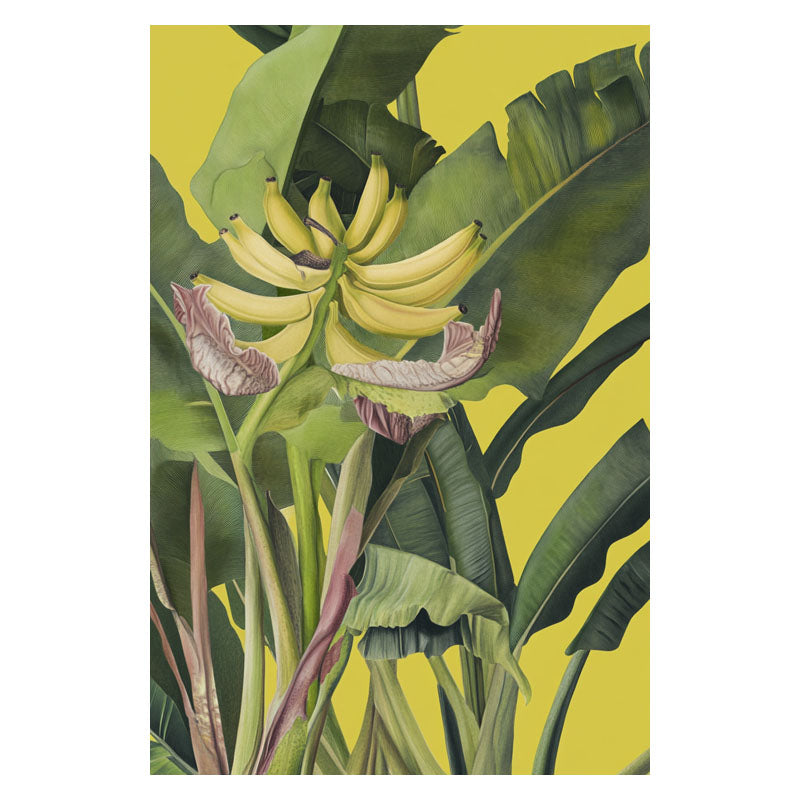 BANANA TREE II