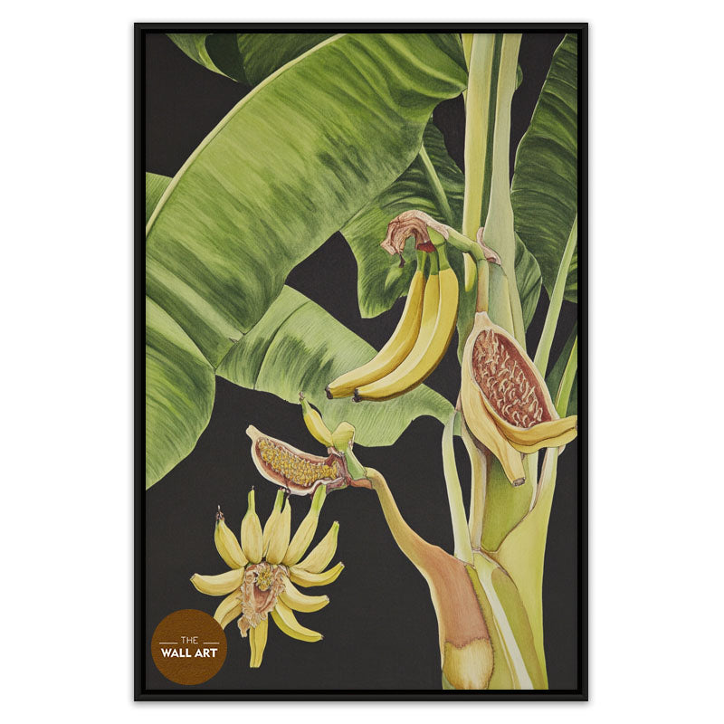 BANANA TREE I