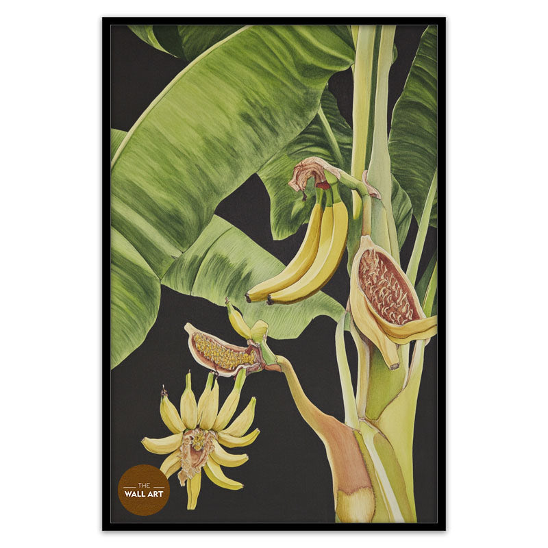 BANANA TREE I