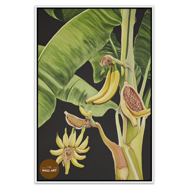 BANANA TREE I