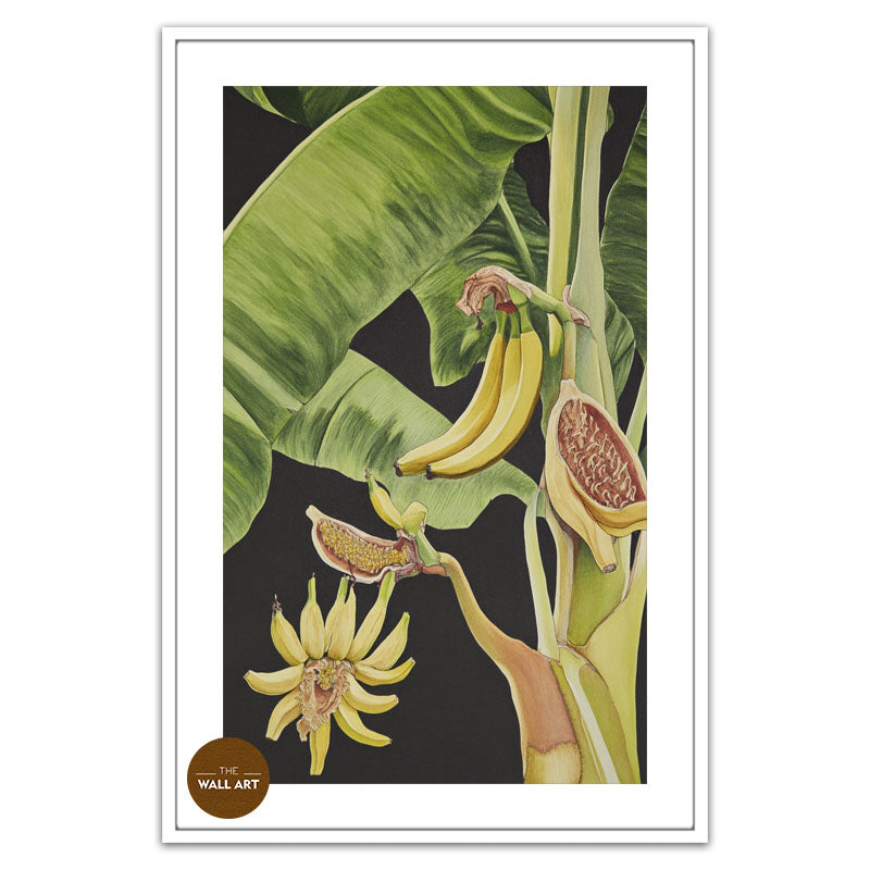 BANANA TREE I