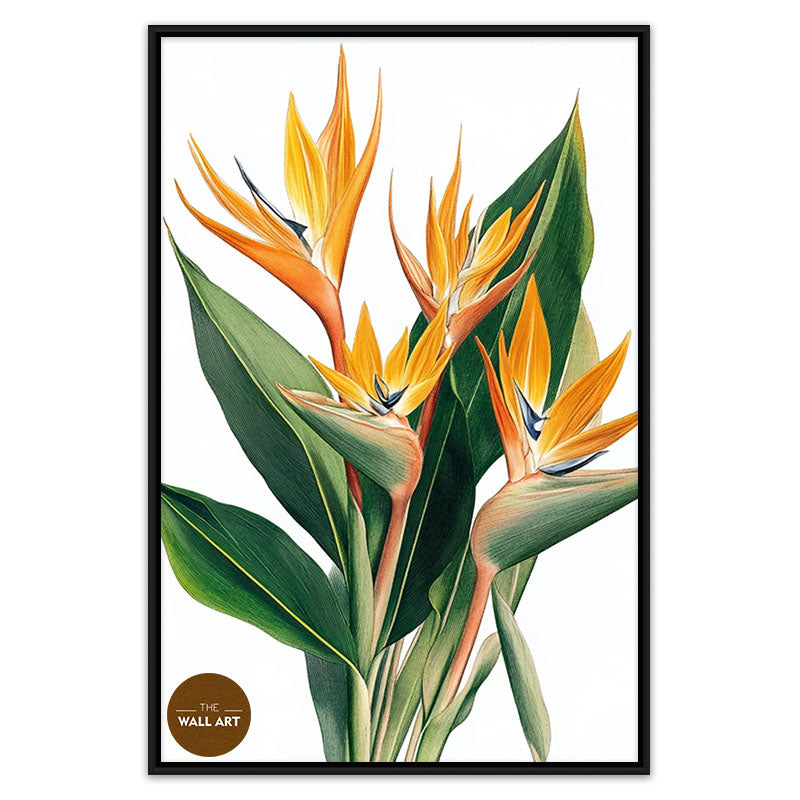 BIRD OF PARADISE II