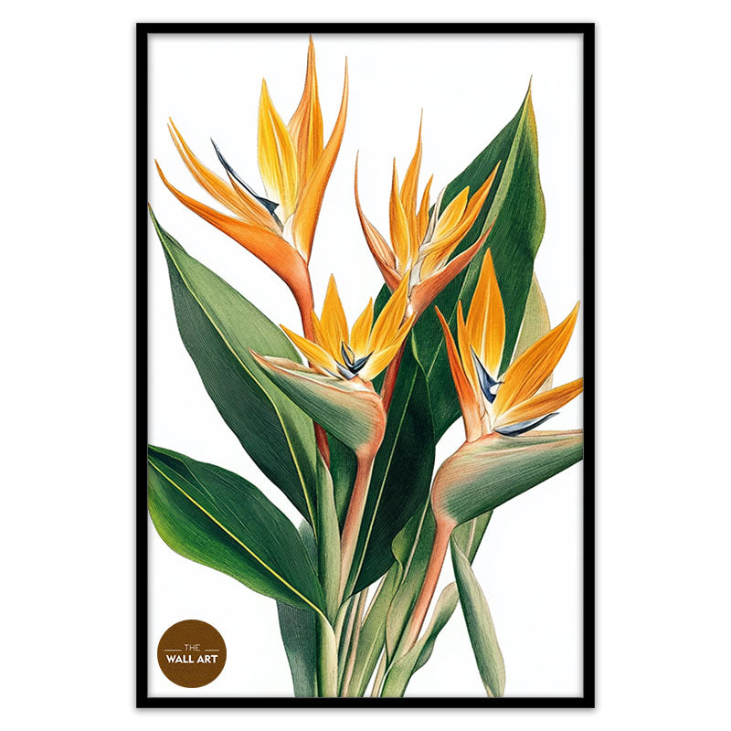 BIRD OF PARADISE II