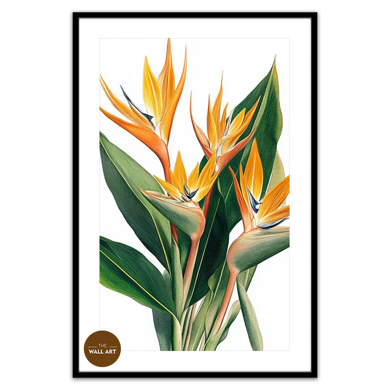 BIRD OF PARADISE II