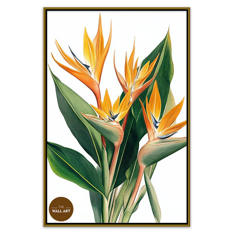 BIRD OF PARADISE II