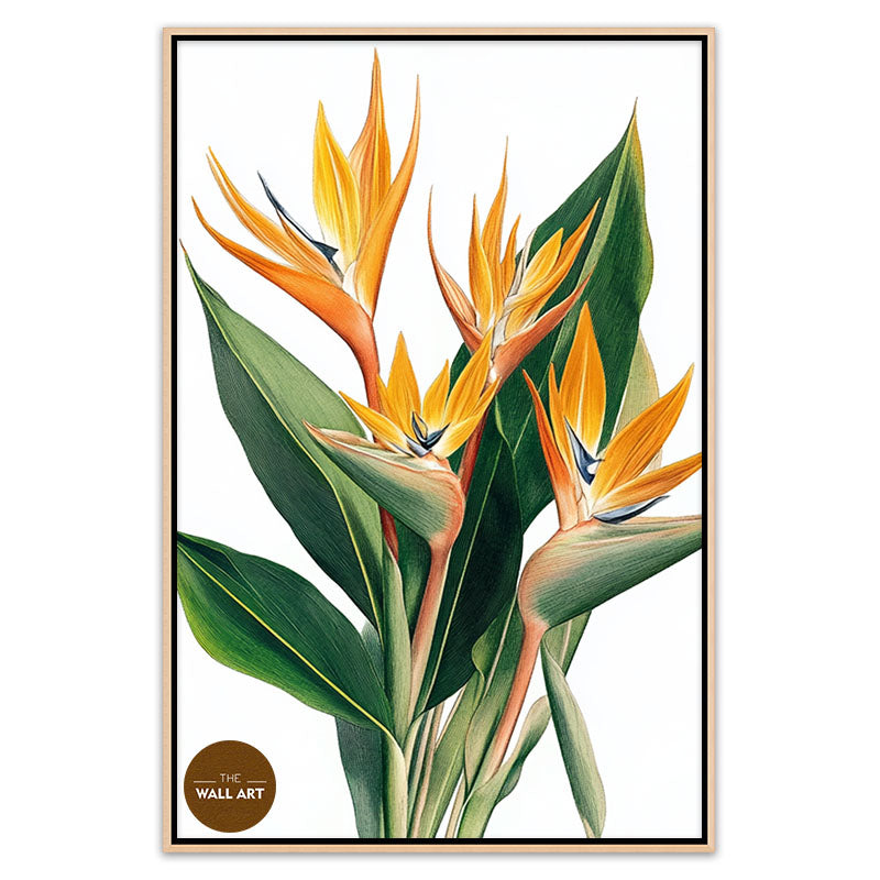 BIRD OF PARADISE II