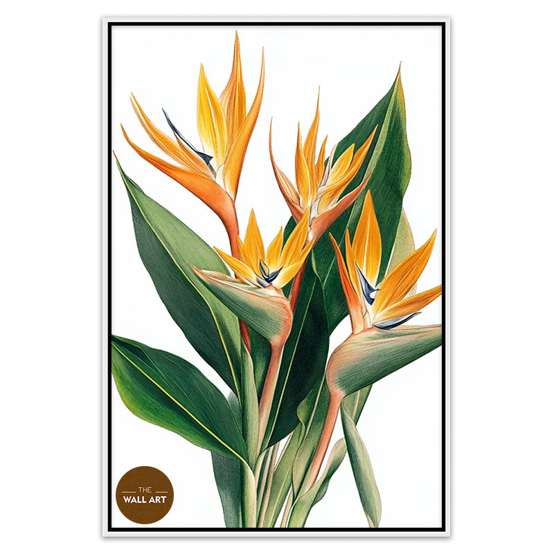 BIRD OF PARADISE II
