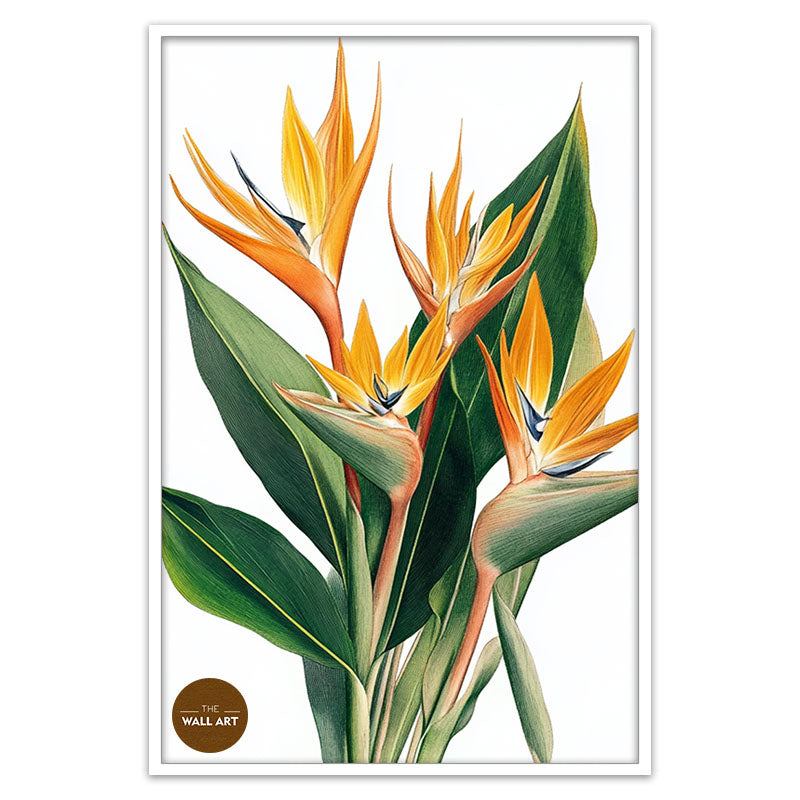 BIRD OF PARADISE II