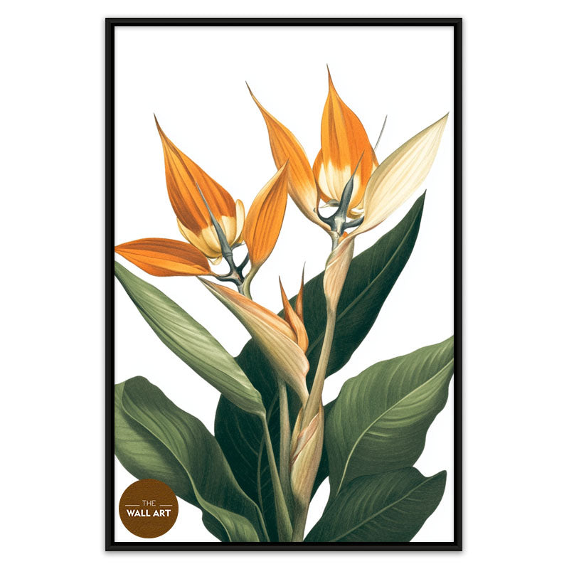 BIRD OF PARADISE IV