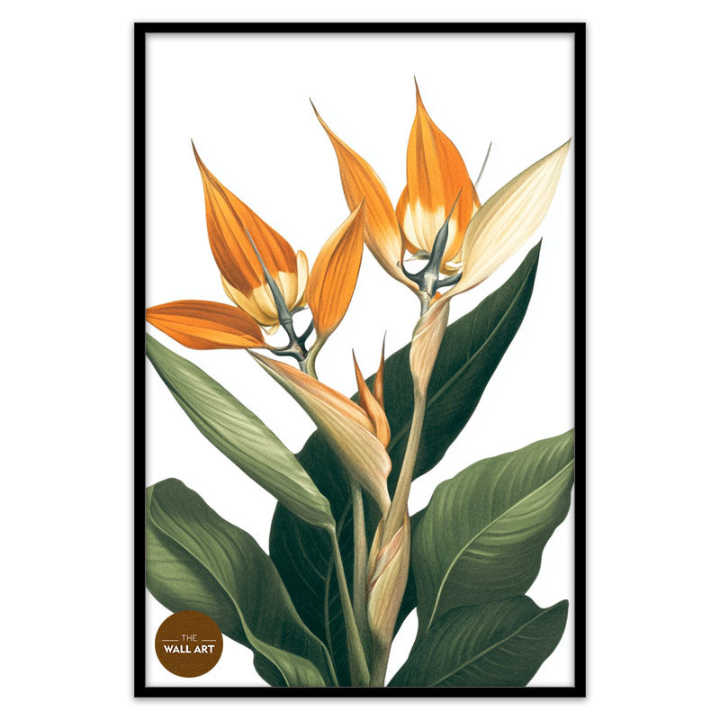 BIRD OF PARADISE IV