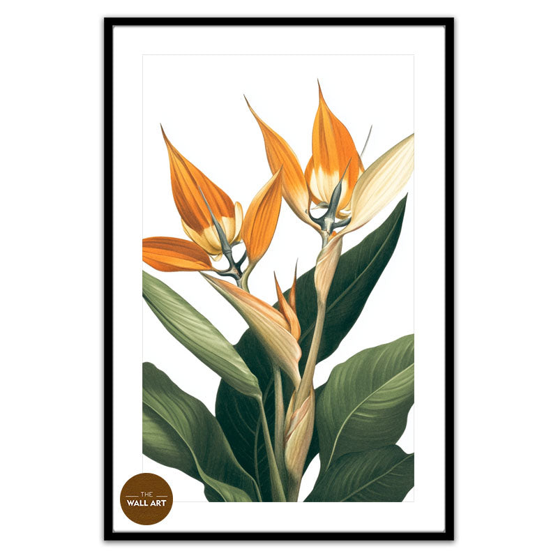 BIRD OF PARADISE IV