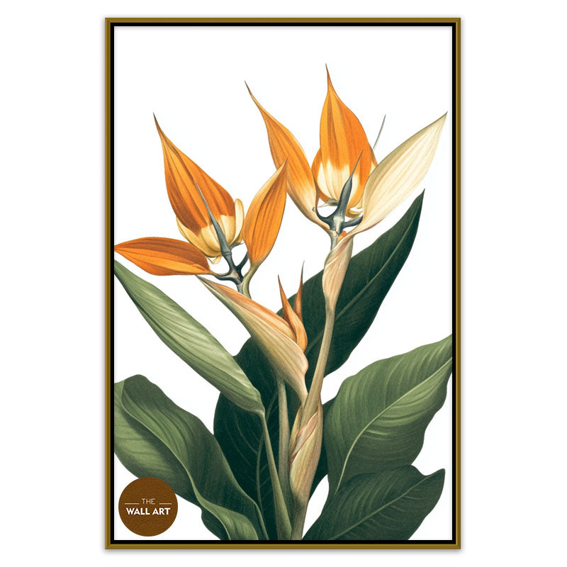 BIRD OF PARADISE IV