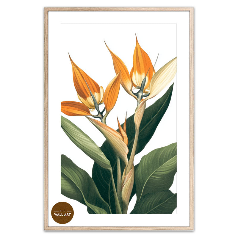 BIRD OF PARADISE IV