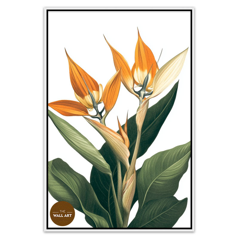 BIRD OF PARADISE IV