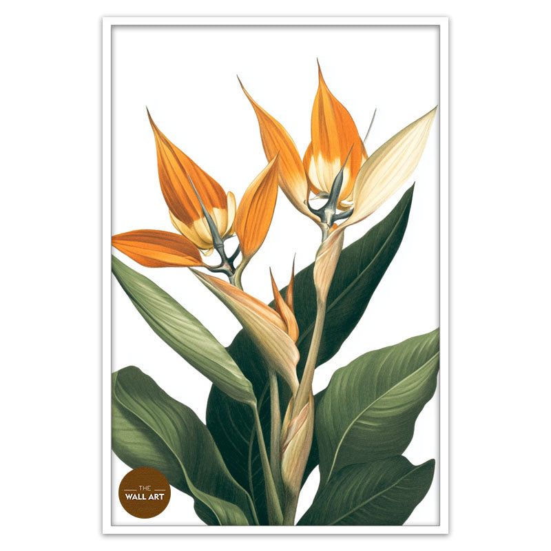 BIRD OF PARADISE IV