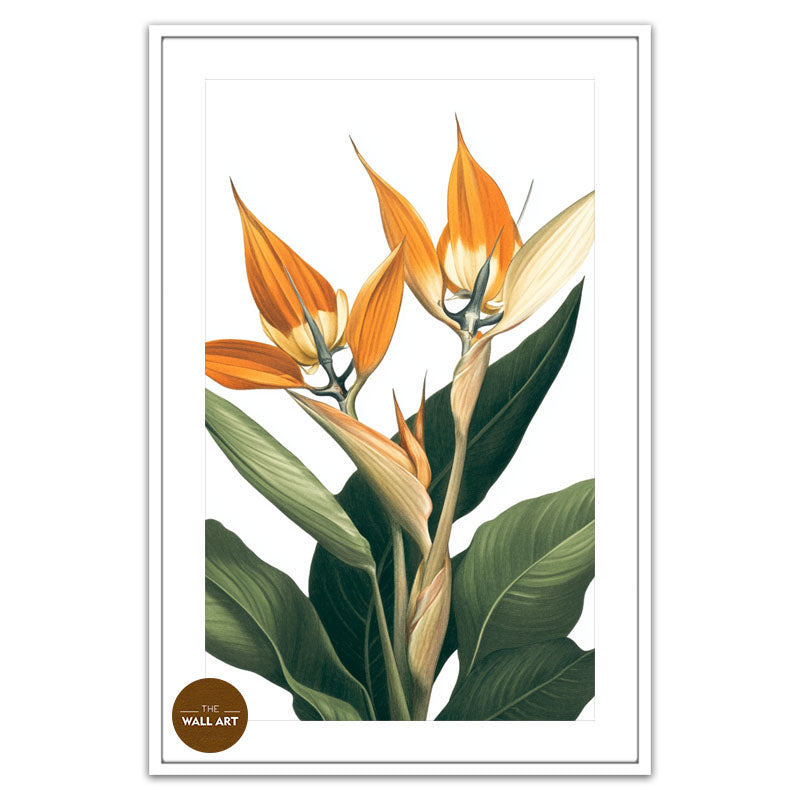 BIRD OF PARADISE IV