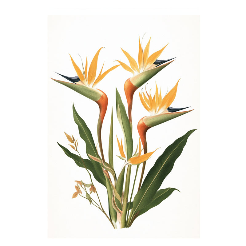 BIRD OF PARADISE I