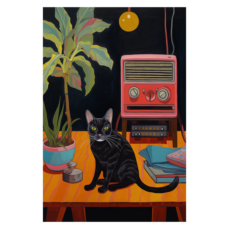 BLACK CAT AND RADIO I
