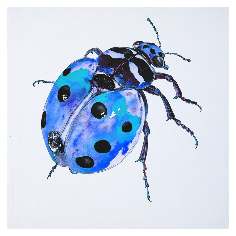 BLUE LADY BUG