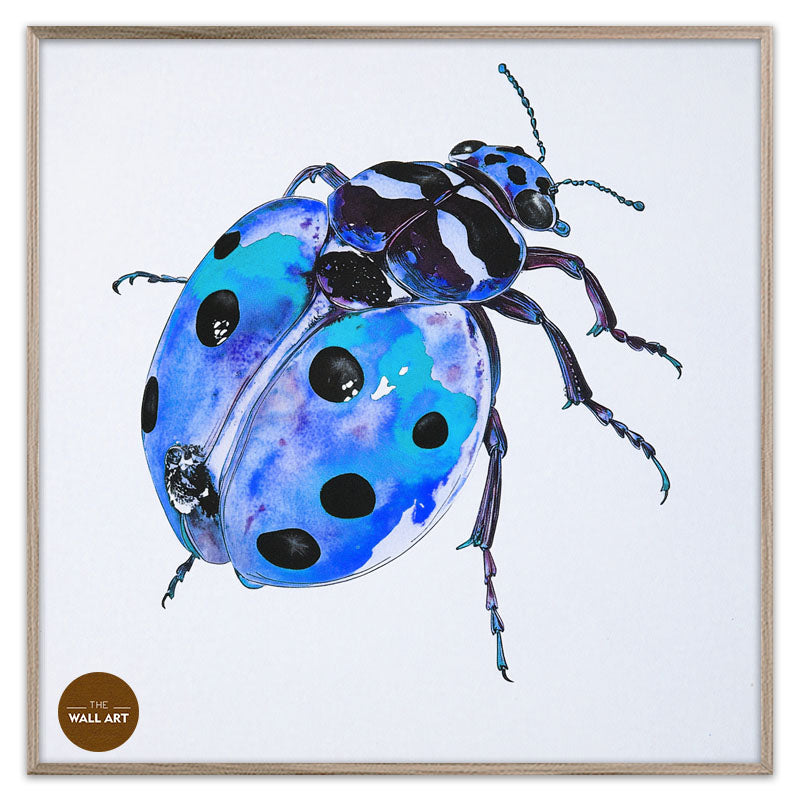 BLUE LADY BUG